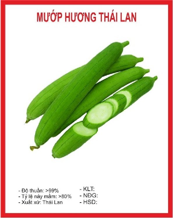 Hạt giống Mướp hương Thái Lan/Gói 10 hạt