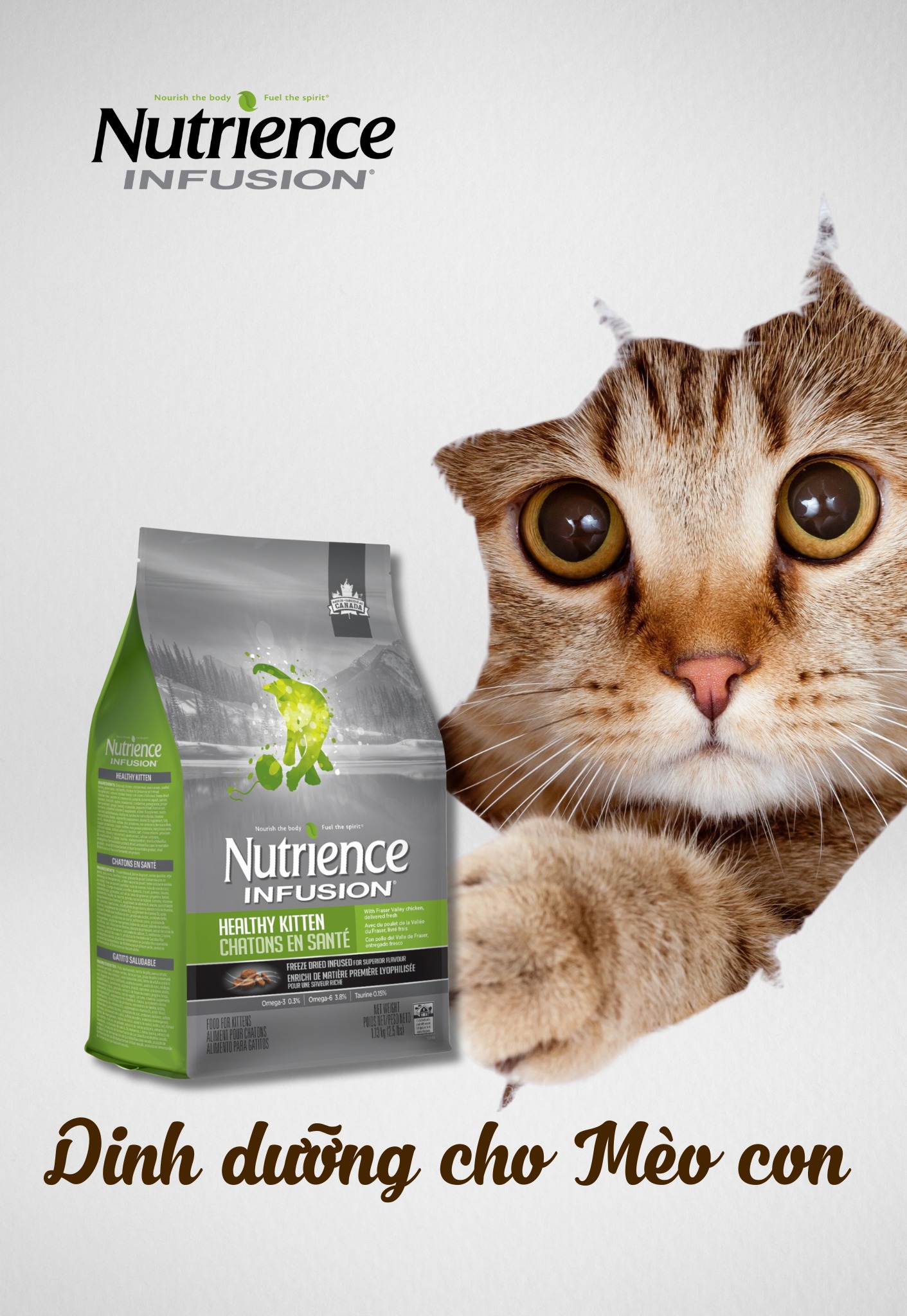 Hạt mèo NUTRIENCE KITTEN (bao nguyên seal) cho mèo con
