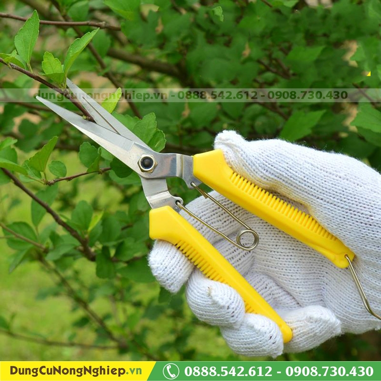 Kéo cắt tỉa tỉa hoa tỉa lan màu vàng