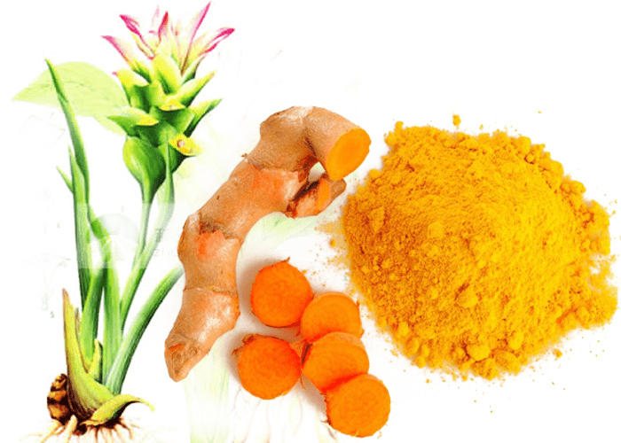 Kem nghệ Thorakao 7g