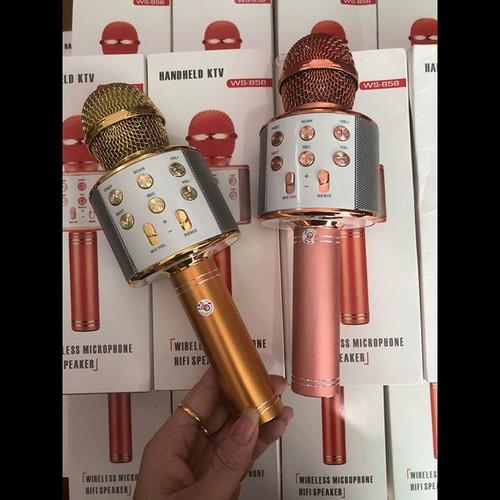 [HCM]MIC KARAOKE WS 858 LOẠI 1 - WS-858