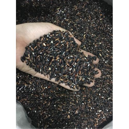 Nếp Than 1kg