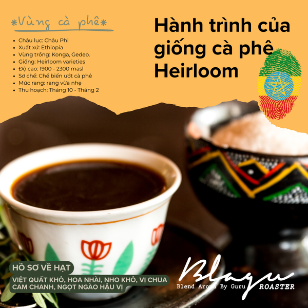 Cà Phê Blagu Hạt Đã Rang, Ethiopia W. Yirgacheffe - 100%Arabica - Light-Medium - 250g