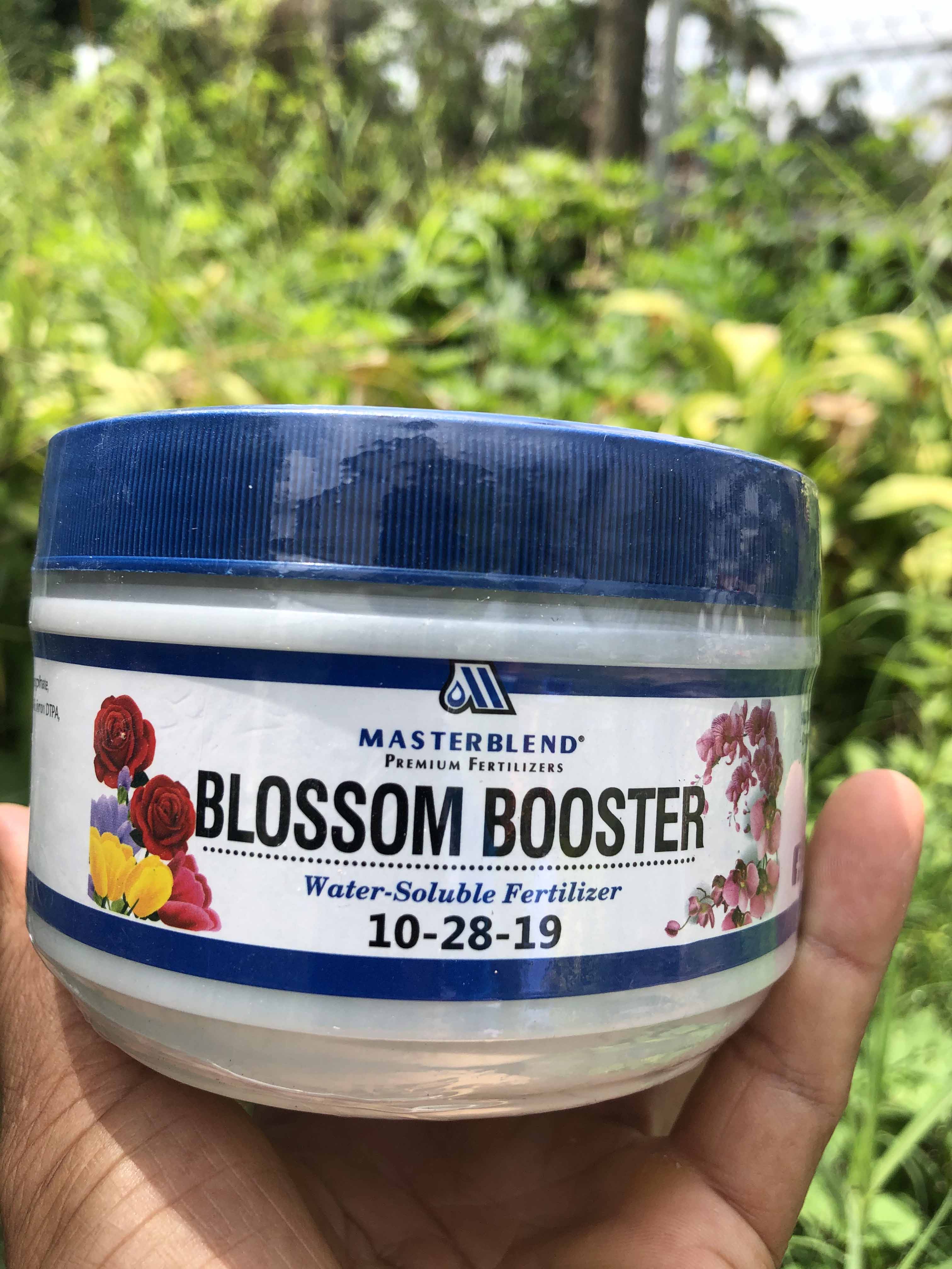 Phân Kích ra hoa Masterblend 10-28-19 ( dùng cho Hoa Lan và Các Loại Hoa)