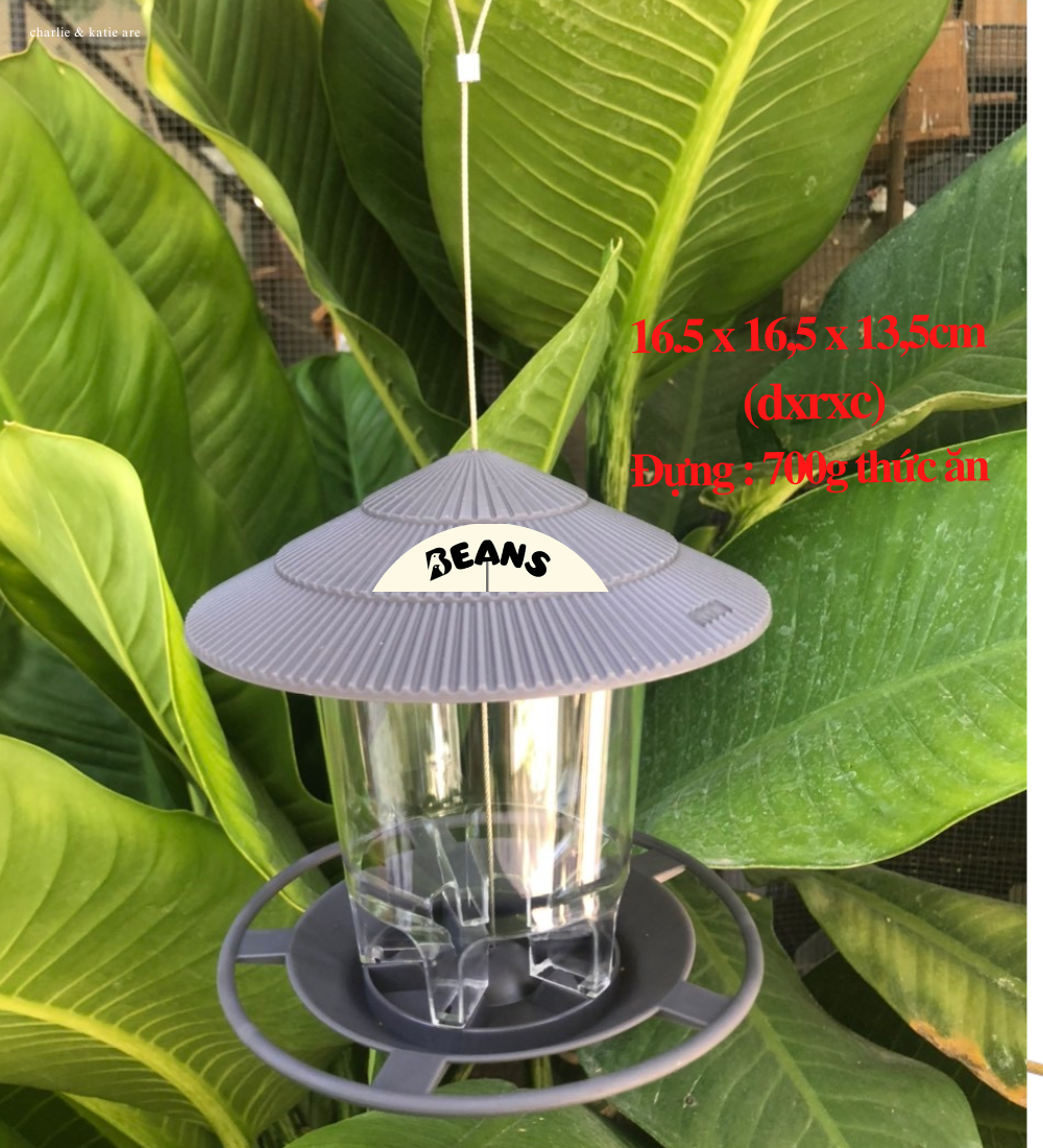 Cóng avi đựng thức ăn cho chim đựng được 700g thức ăn