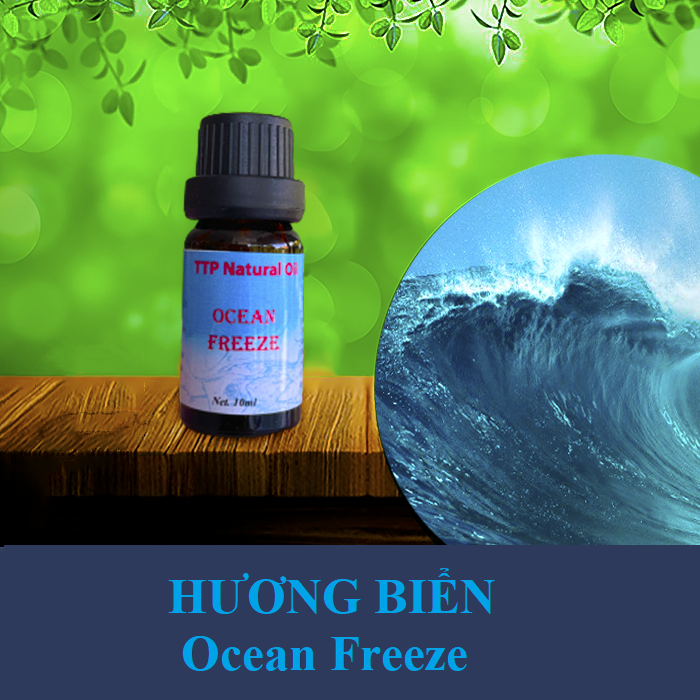 Tinh dầu Ocean Freeze thơm mát,  khử mùi - 10ml