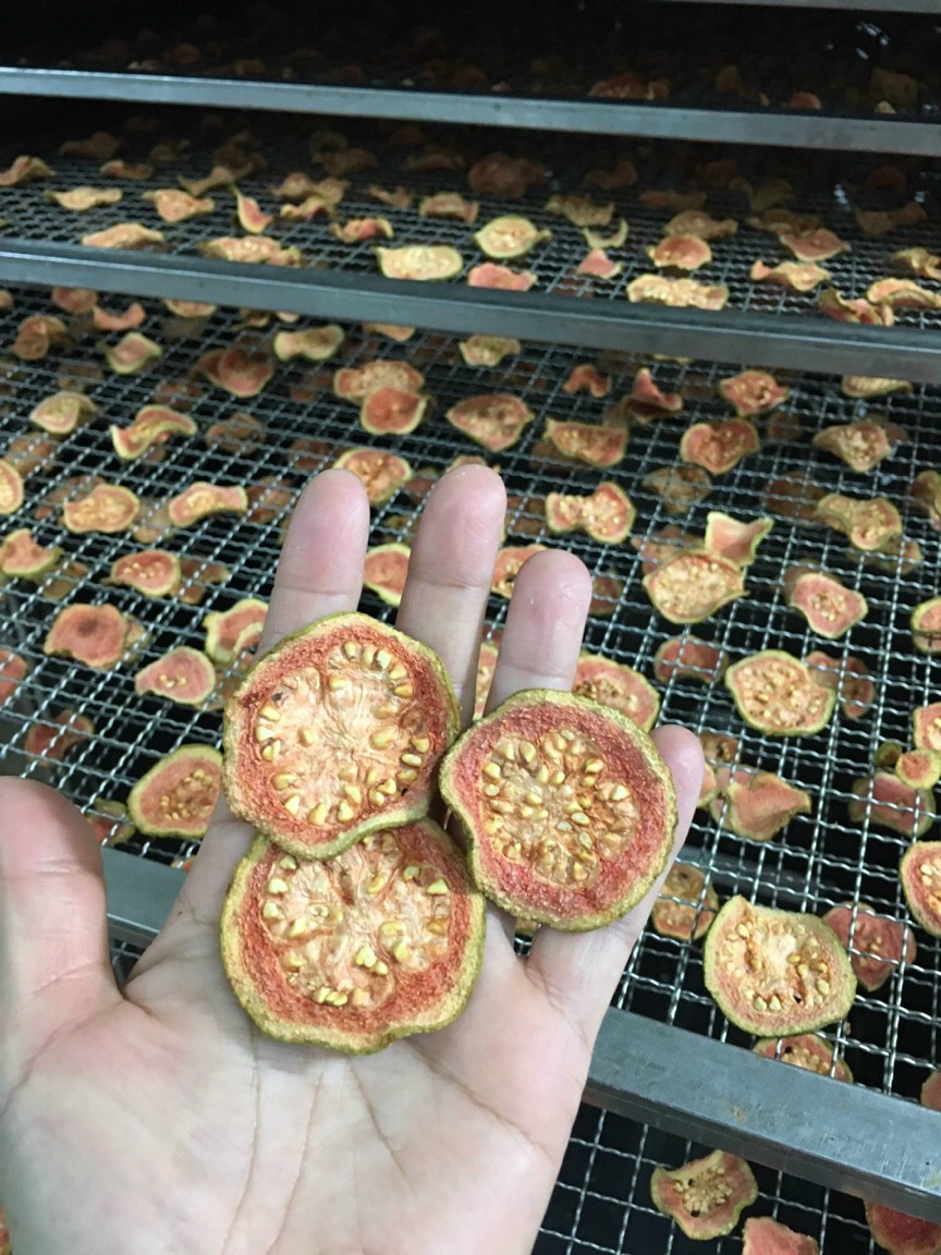 Cold guava-detox fruit 100g package