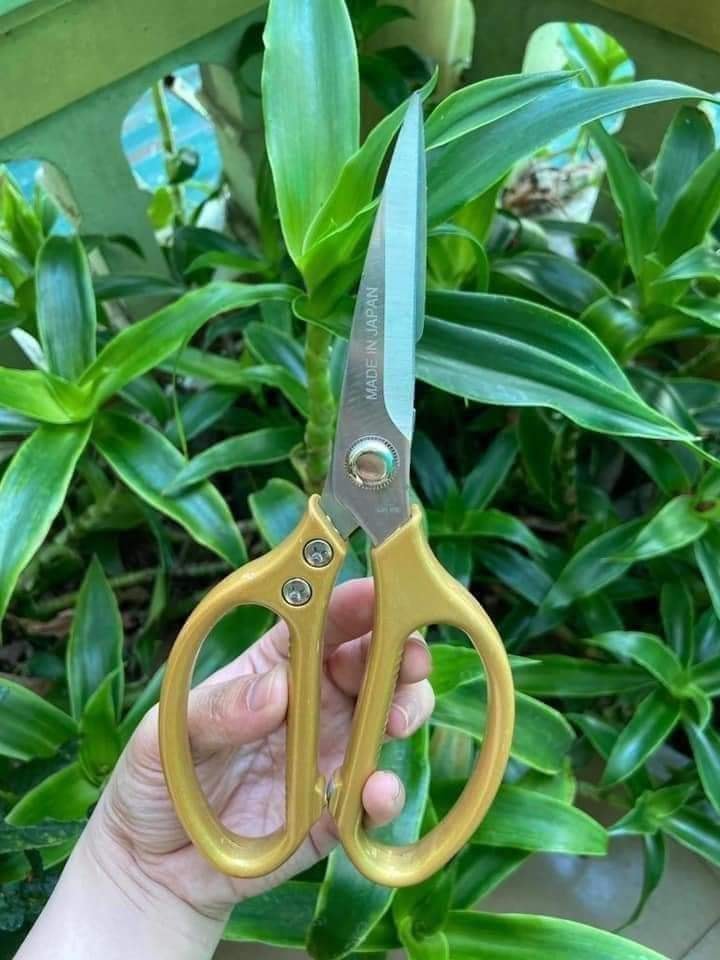 Kéo SK5 Lưỡi Thép Không Gỉ, Sản Xuất Theo Công Nghệ Nhật, Có Đồ Khui Bia, Cán Vàng Đầm Tay, TGTI38