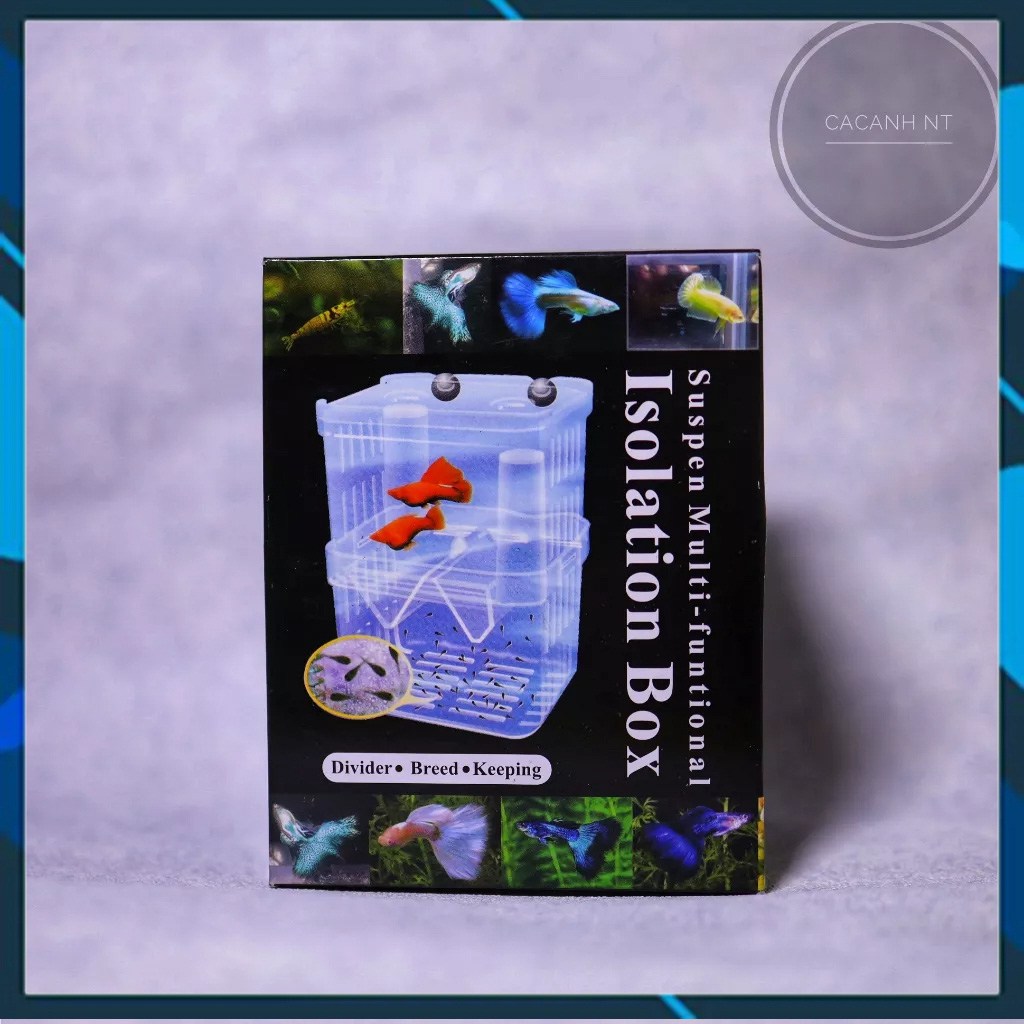 Hộp cho cá đẻ , lồng đẻ guppy , lồng dưỡng cá