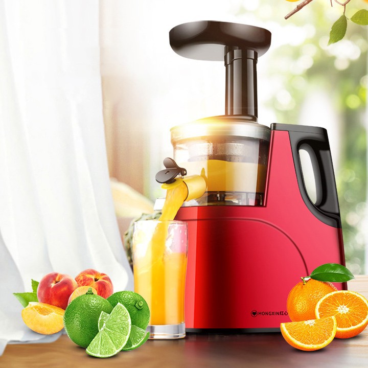 Máy ép trái cây chậm HongXin RH310