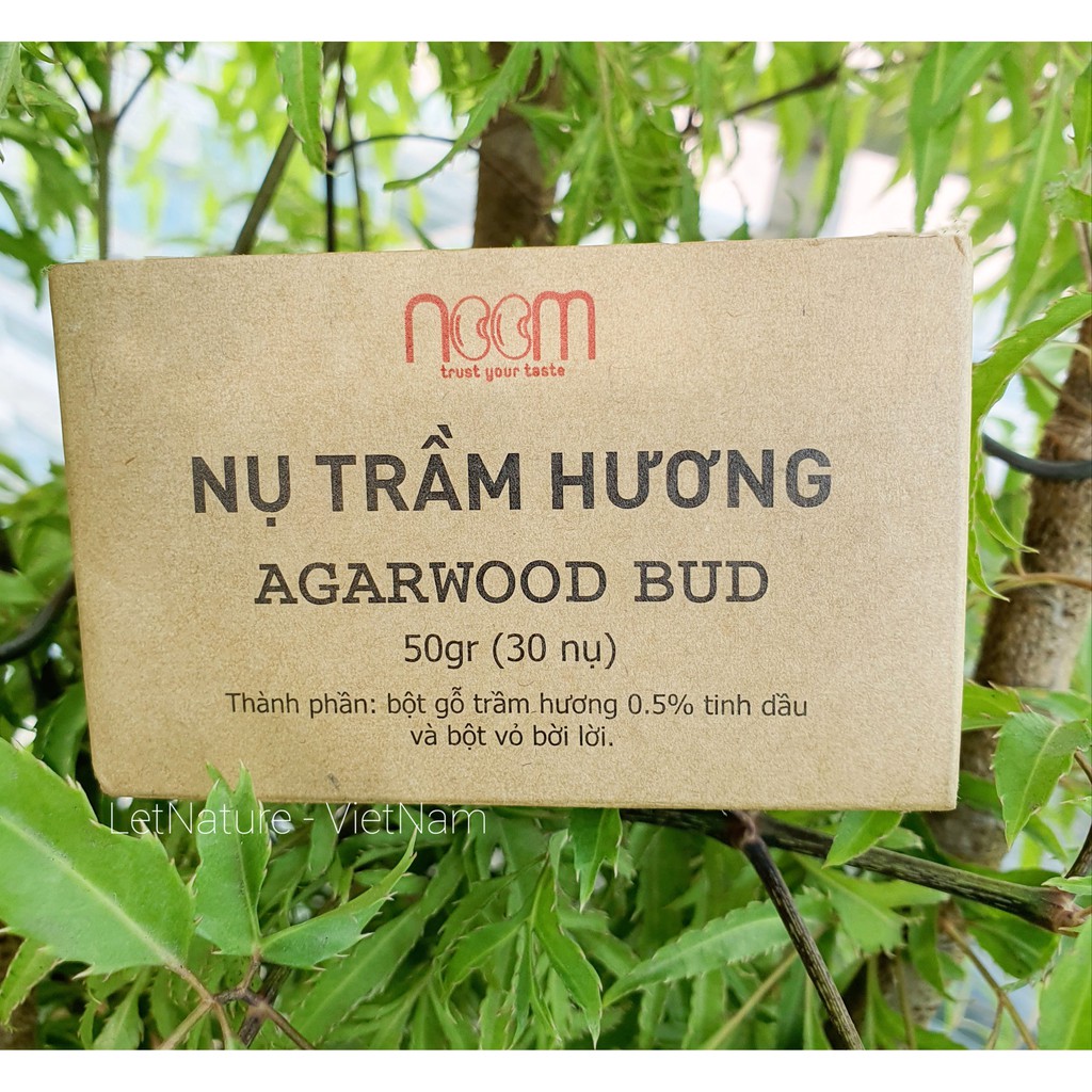 Nụ trầm hương - noom