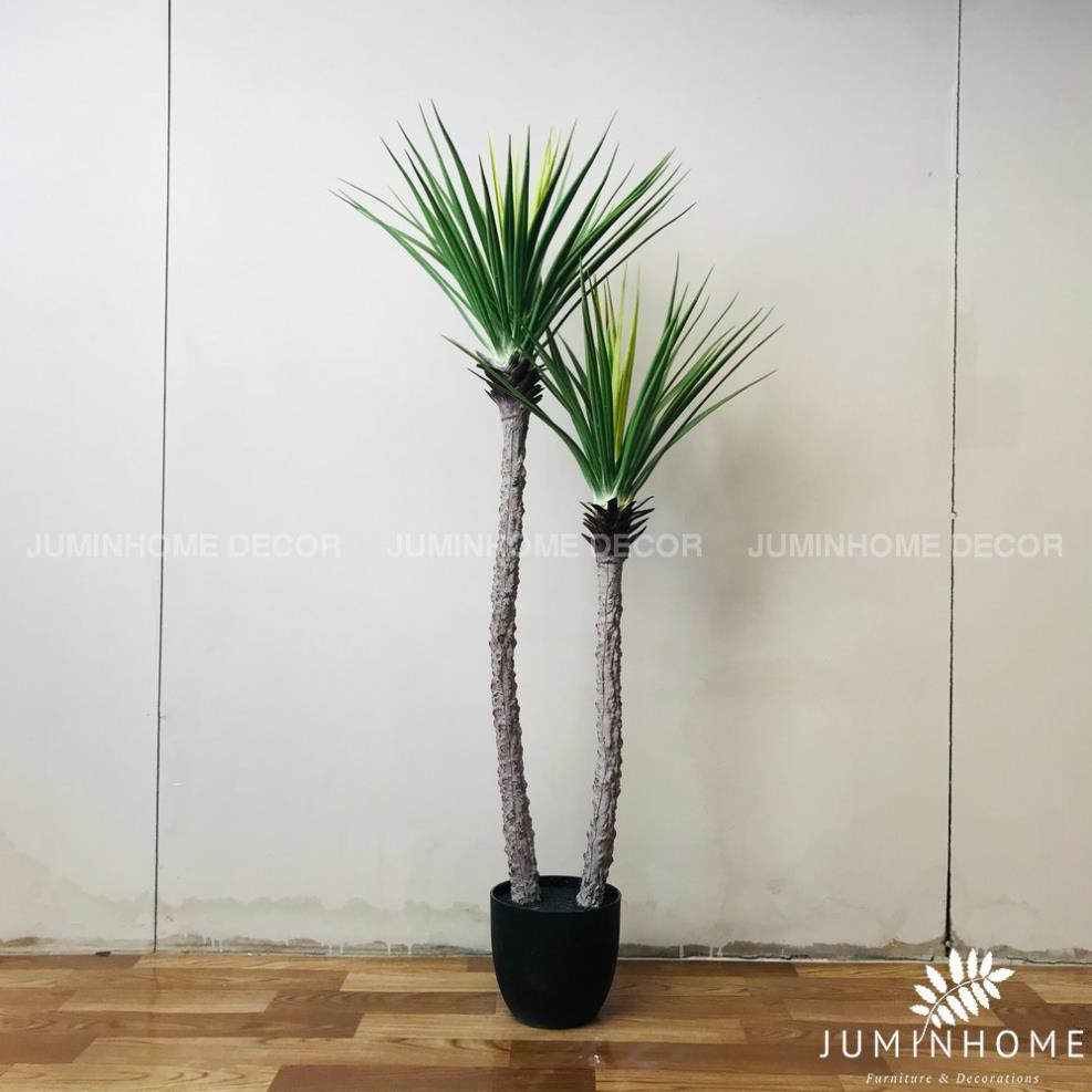 Cây giả Decor trang trí - Cây phát tài núi [Giống thật 99%]