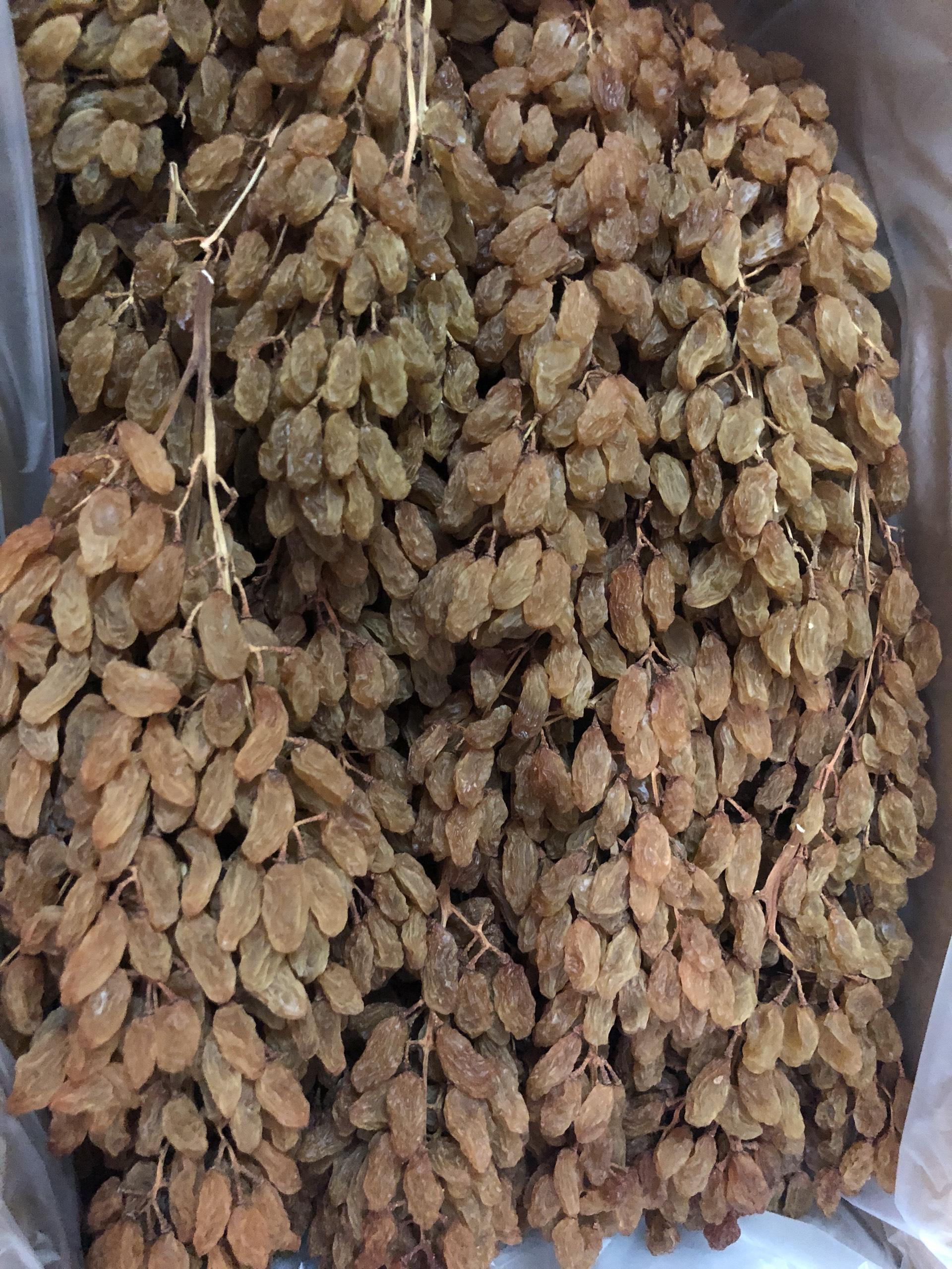 NHO KHÔ NGUYÊN CÀNH THOMPSON ÚC 500GR