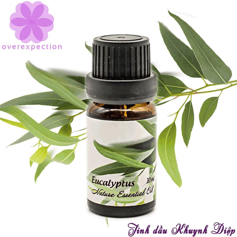 Tinh dầu khuynh diệp - Eucalyptus Essential Oil