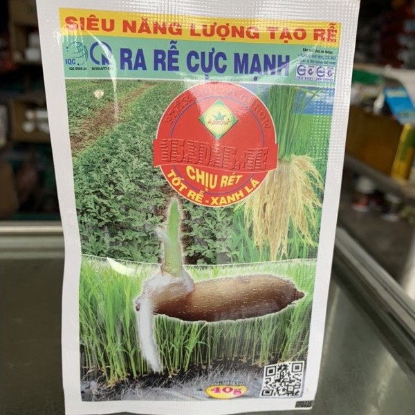 Kích rễ cây Thiên Bình (gói 40g) - VTNN Bắc Từ Liêm