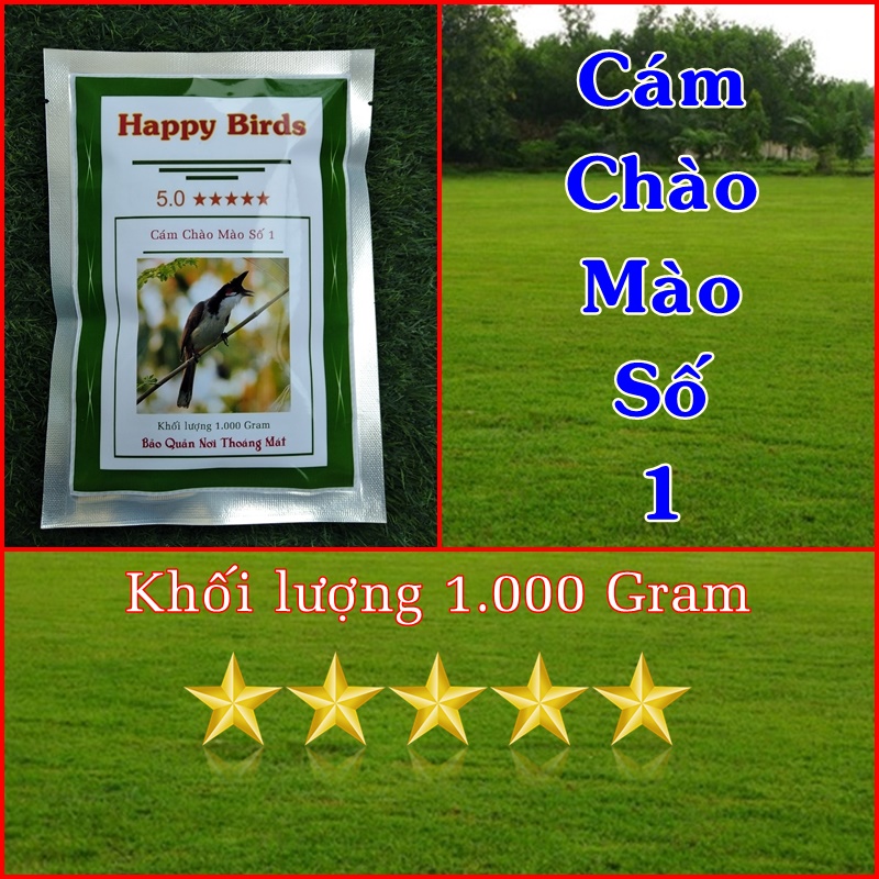 1kg Cám Chim Chào Mào Dưỡng Và Cám Chim Chích Chòe Số 1, Loại Happy Birds Chất Lượng Cao