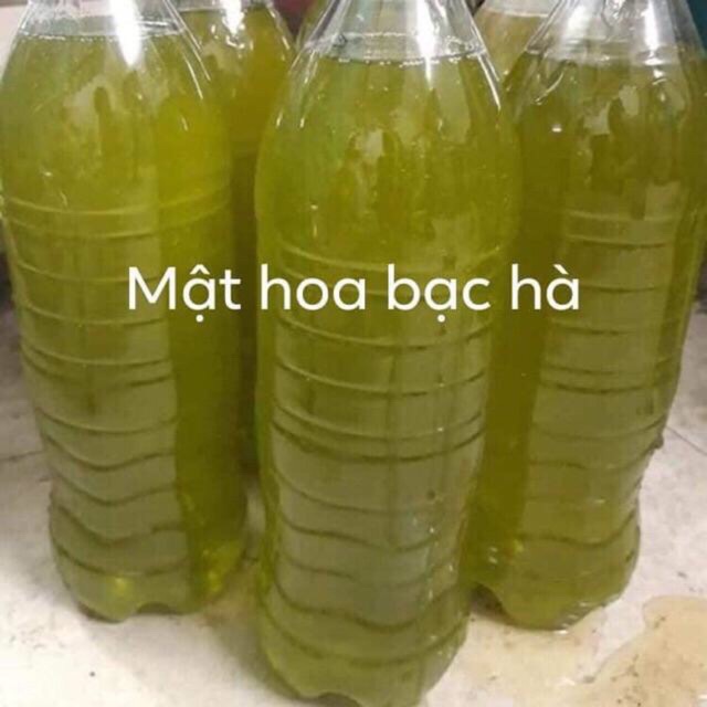 Mật Ong Hoa bạc Hà - Hà giang