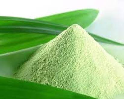 HƯƠNG LÁ DỨA DẠNG BỘT (PANDAN FLAVOR) HỘP 500GRAM