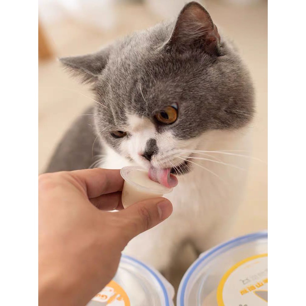 PUDDING SỮA DÊ CHO CHÓ MÈO BỔ SUNG CANXI