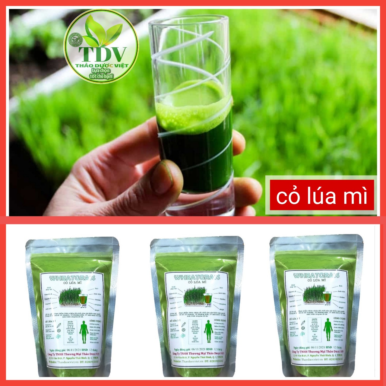 500g Bột cỏ lúa mỳ sấy lạnh xanh đẹp