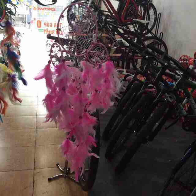 Lông vũ làm dreamcatcher
