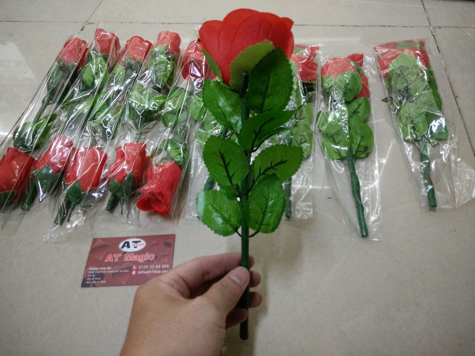 dụng cụ ảo thuật hoa hồng hồi sinh