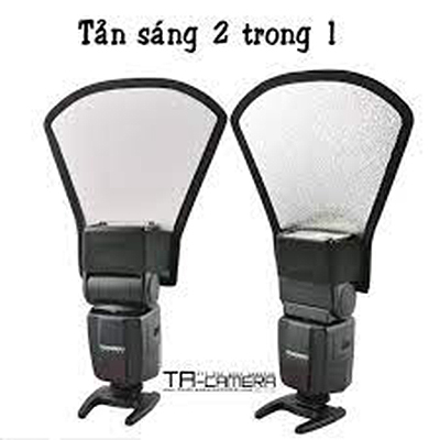 Tản sáng tay gấu