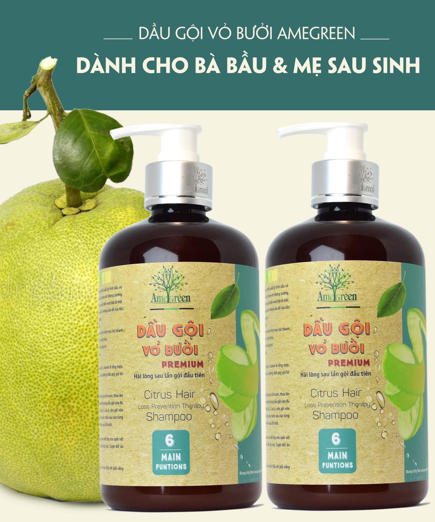 [HCM]Dầu Gội Tinh Dầu Vỏ Bưởi CAO CẤP Premium (600ml)