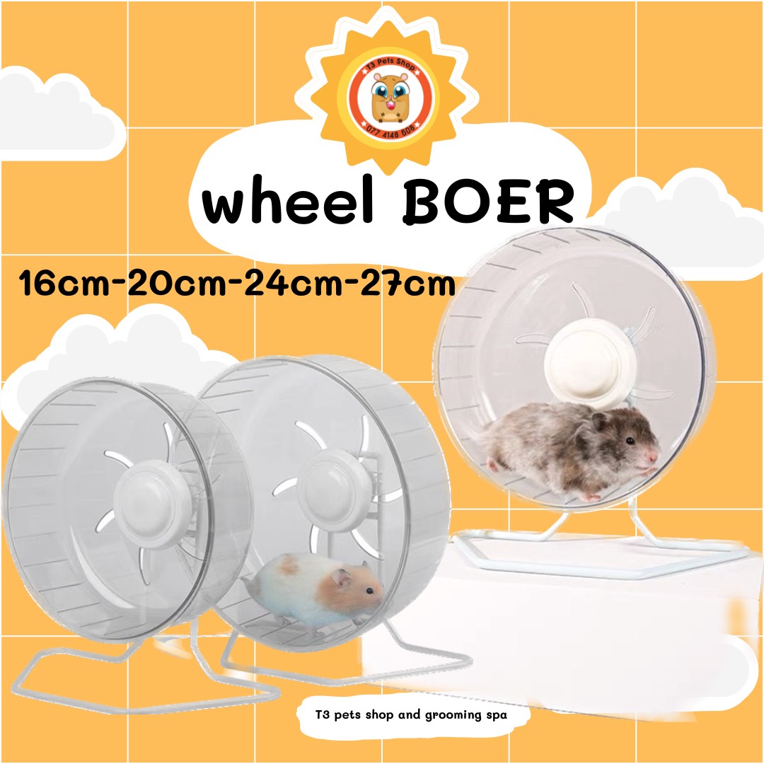 wheel trong suốt BOER (hàng xịn xò) cho hamster/ sóc/ nhím/ dumbo/ rat