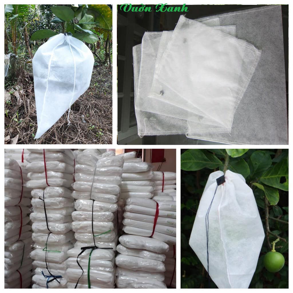 100 CÁI TÚI BAO,BỌC BƯỞI,DƯA LƯỚI 35*40