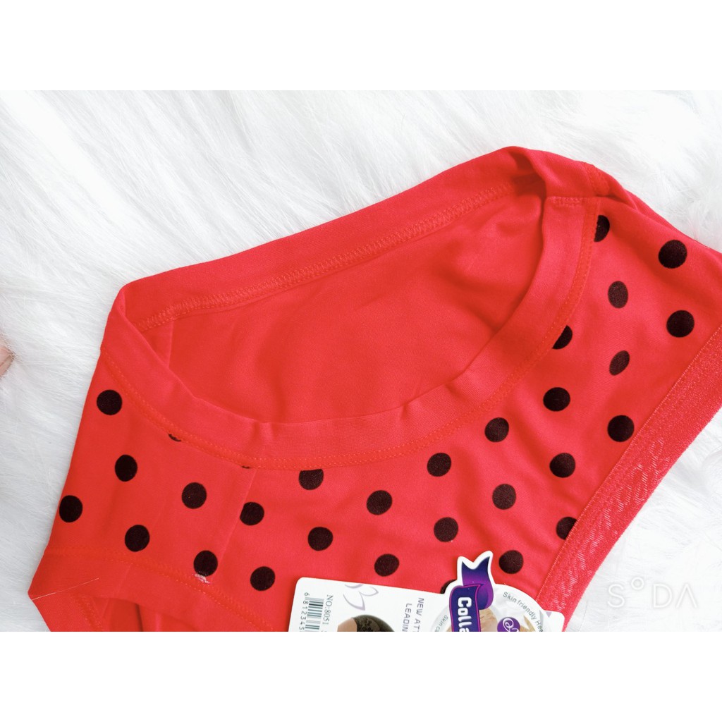 COMBO 10 QUẦN LÓT NỮ CHẤM BI 30-45KG