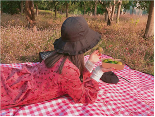 Thảm đi dã ngoại, Picnic Hàn Quốc