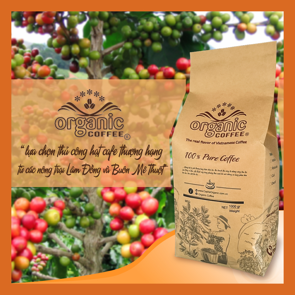 [HCM]Cà Phê Pha Phin Robusta Gói 500gram – VN1 - Organic Cofee