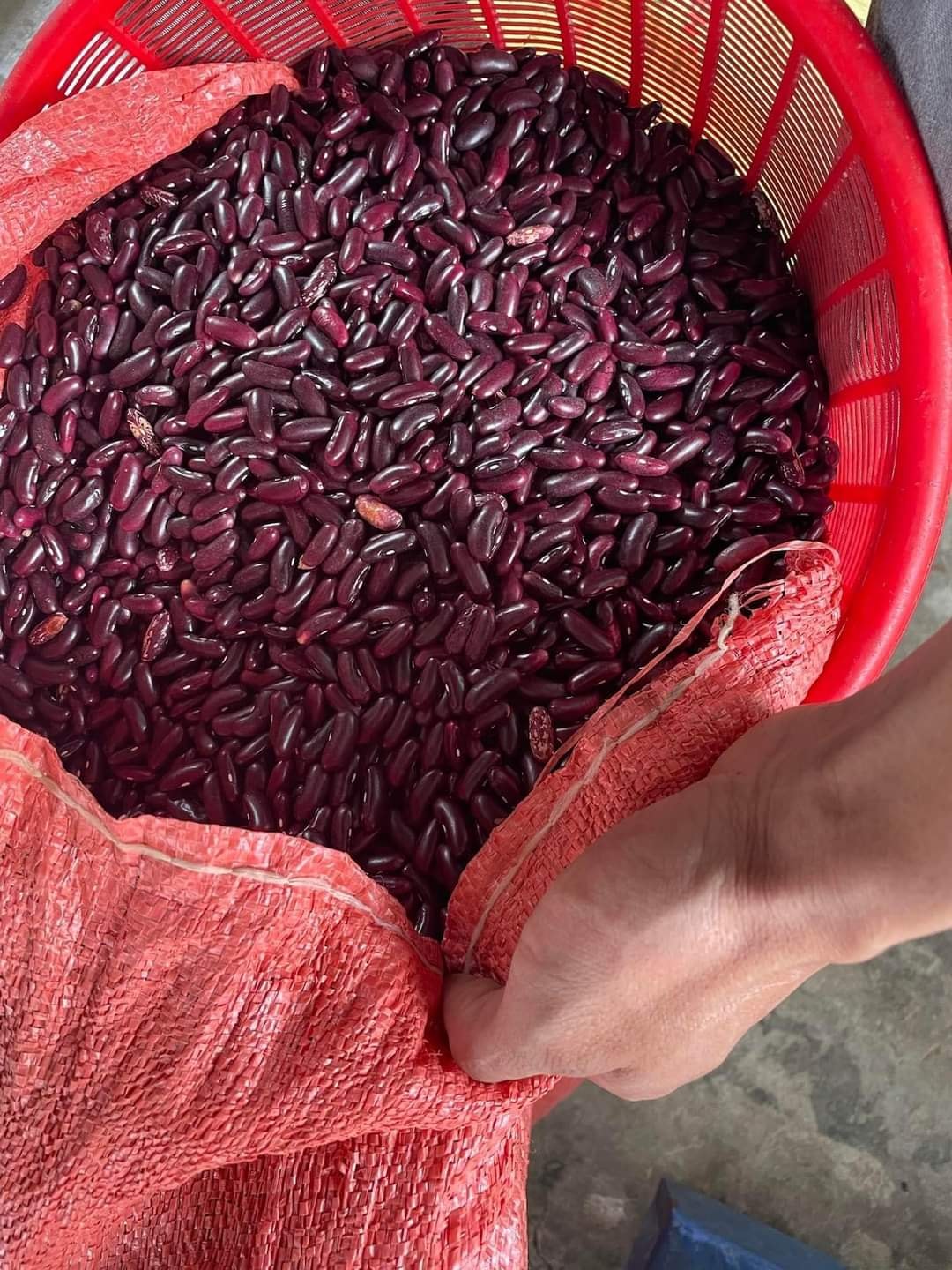 Đậu Đỏ Hạt to 1Kg Hữu cơ ( chuẩn hàng quê chính gốc )