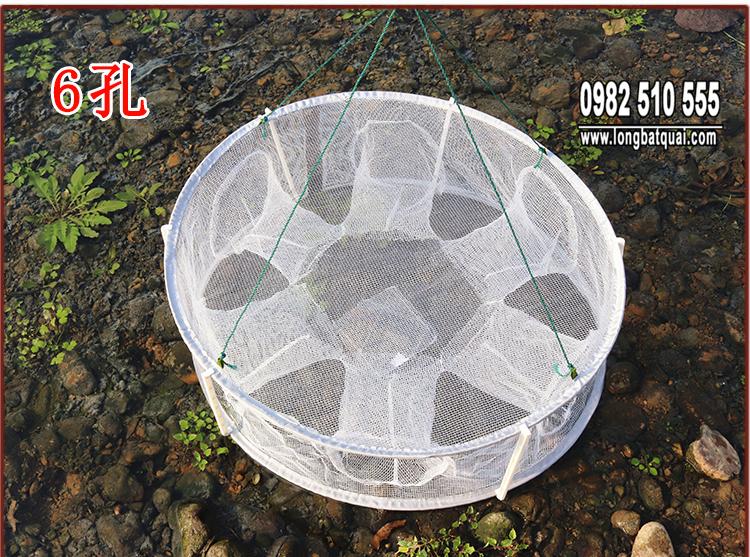 Gấp lưới đánh cá, lồng tôm, lưới cá, lồng cá, lưới tôm, tôm hùm, bồ nông vàng, lồng bùn, lồng cua, bắt cá nhỏ, ném lưới