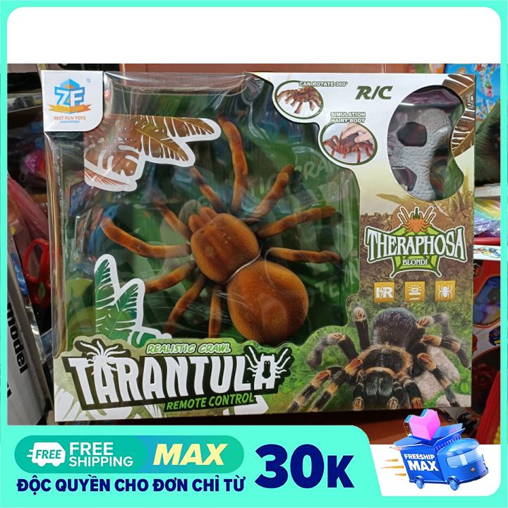 Đồ Chơi Điều Khiển Từ Xa Mô Hình Con Nhện Lông Lá #9986 Tarantula Remote Control