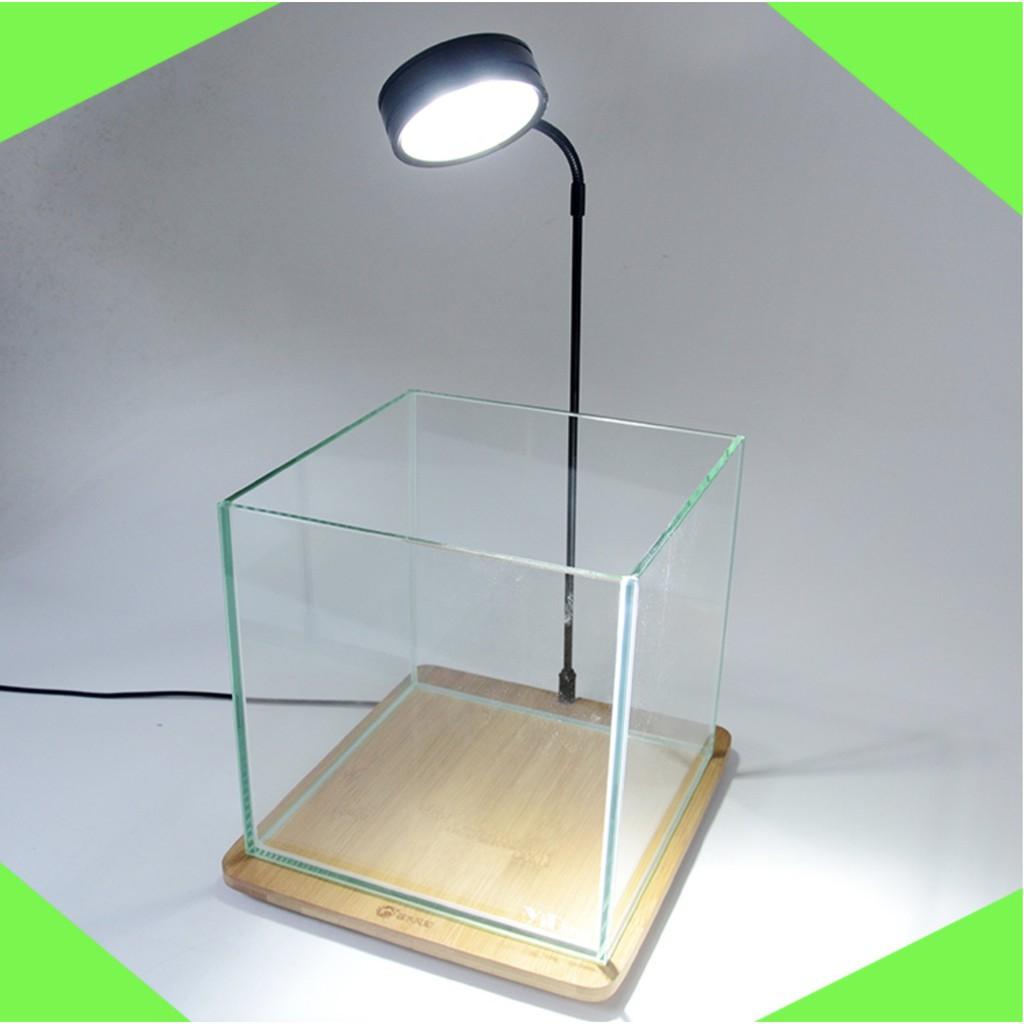 Đèn thuỷ sinh, tiểu cảnh mini đế gỗ 5W