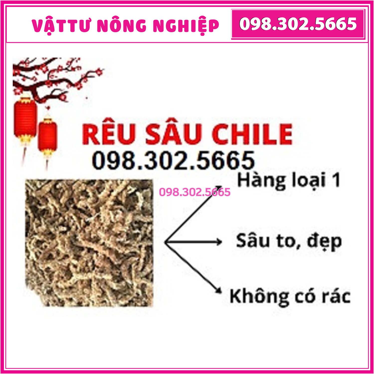 100g Rêu sâu Chile loại 1 - Giá thể giữ ẩm tuyệt vời cho phong lan( hay còn gọi là rêu sâu)