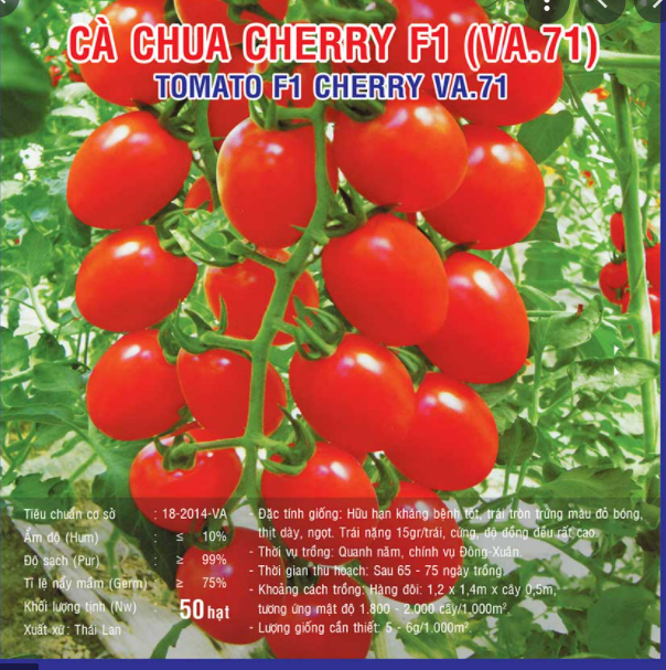Hạt giống Cà Chua Bi Cherry Đỏ