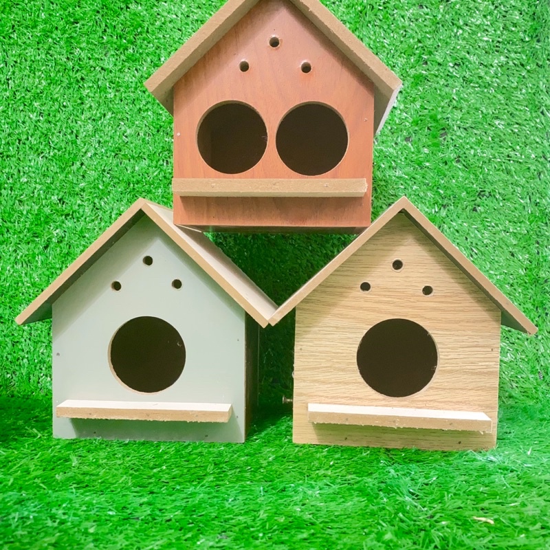 Tổ chim yến phụng , chim sắc nhật ..vv( 2 loại )