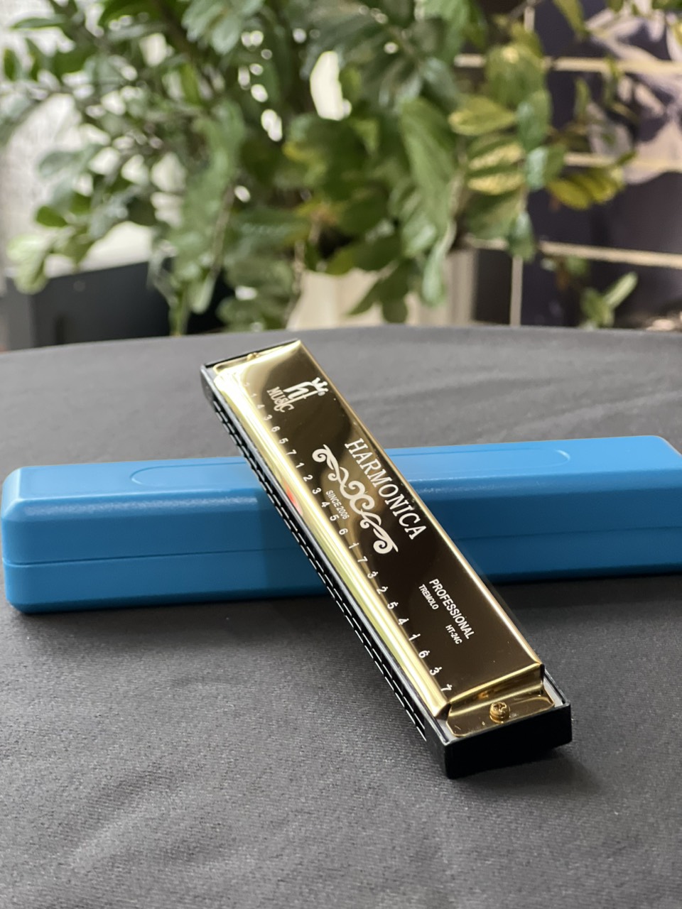 Kèn harmonica tremolo 24 lỗ cho người mới chơi