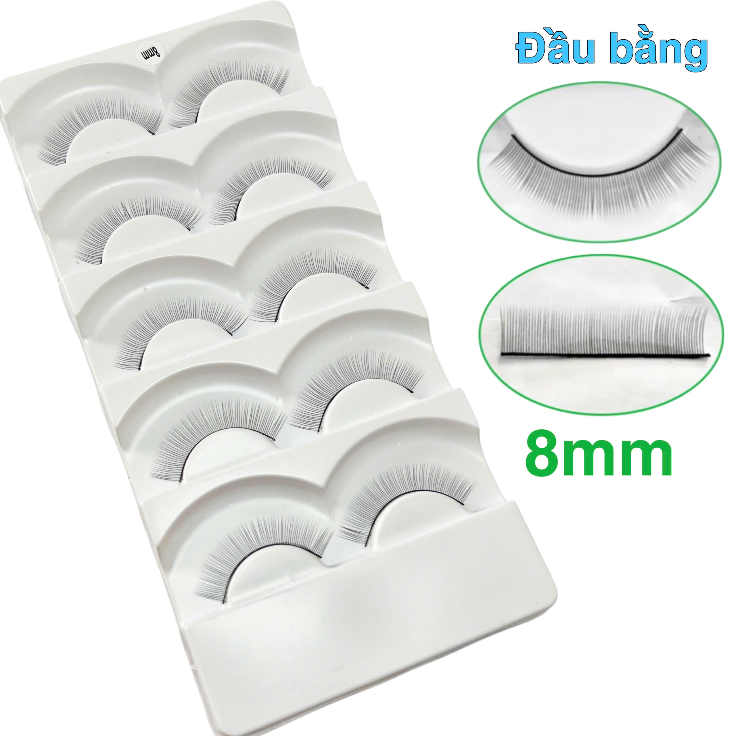 Mi tập nối 5 cặp và 10 cặp