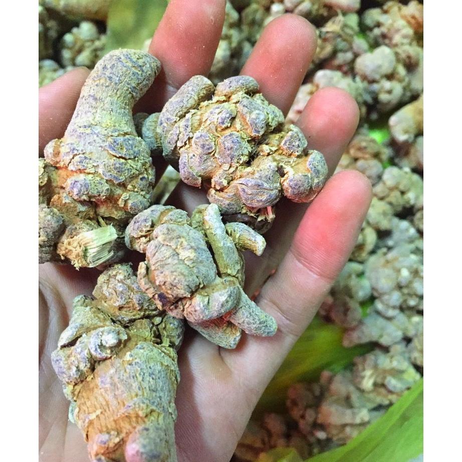 500g củ tam thất bắc khô