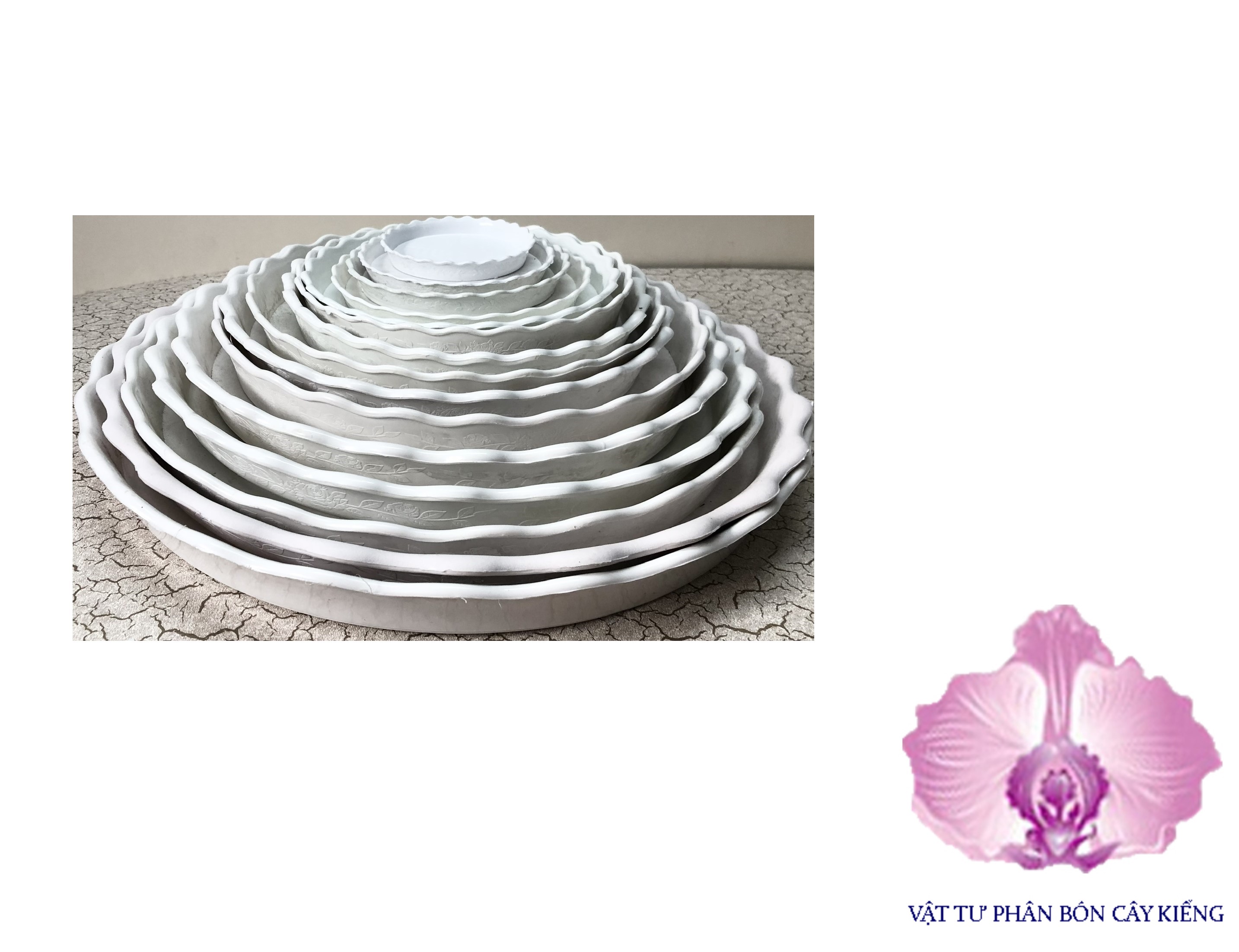 Đĩa lót chậu tròn khía 11cm - #047D#