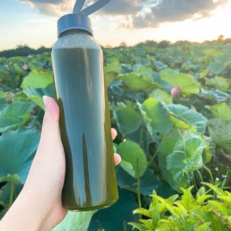 Bột lá sen nguyên chất 100% Sấy lạnh 500g