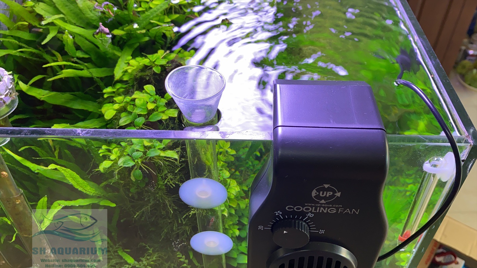 [HOÀN TIỀN 10%]QUẠT LÀM MÁT UP AQUA CÓ ĐẦU DÒ NHIỆT