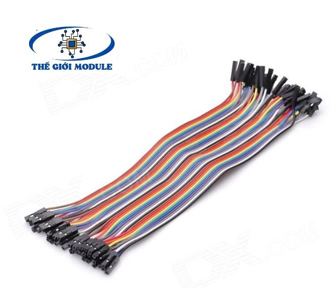 Dây bus, dây bẹ 2 đầu cái 30cm (40 sợi)