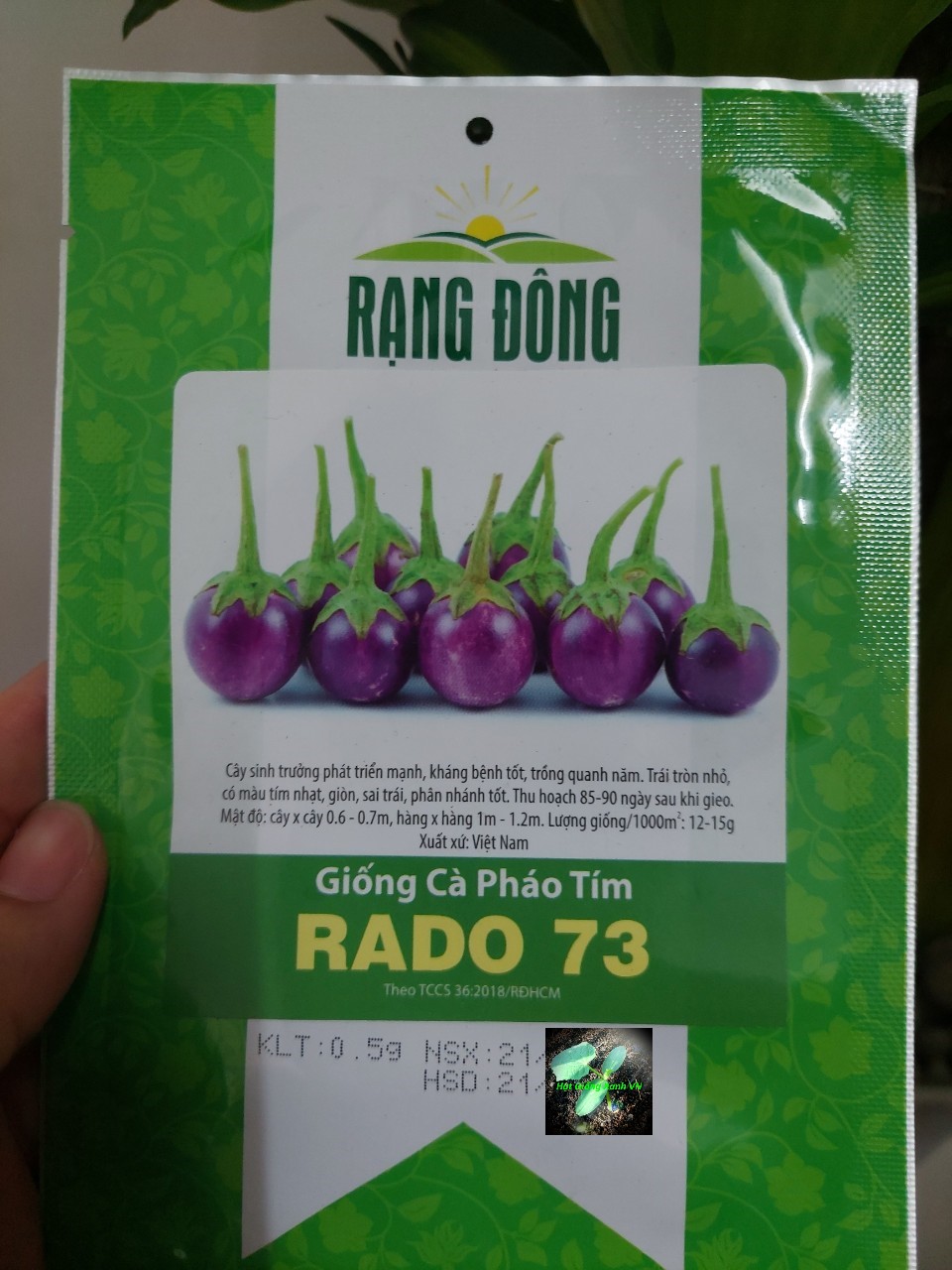 [Seeds] Hạt giống cà pháo tím Rado73, đóng gói 0.5gr khoảng 100 hạt