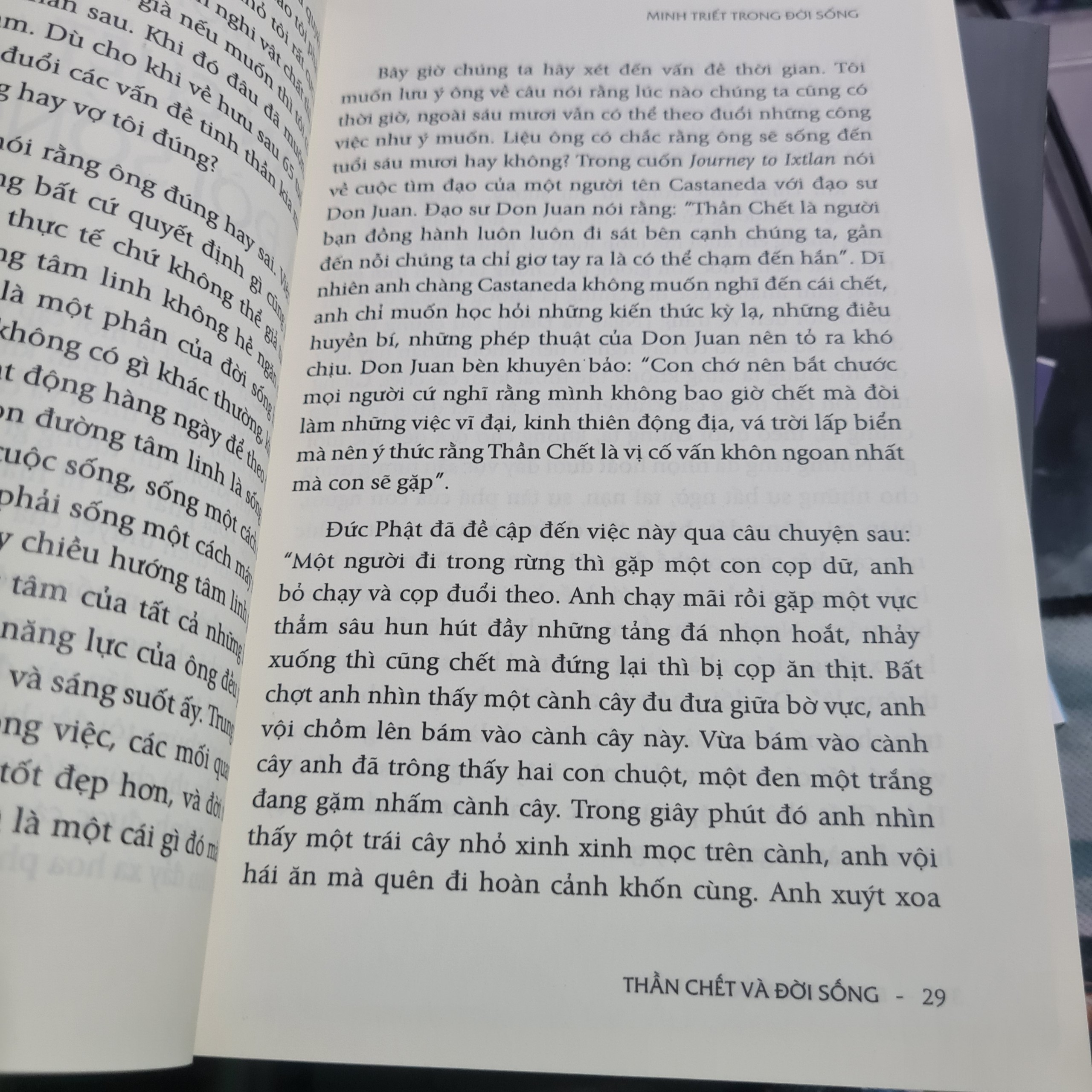 Sách - Minh Triết Trong Đời Sống - Darshani Deane
