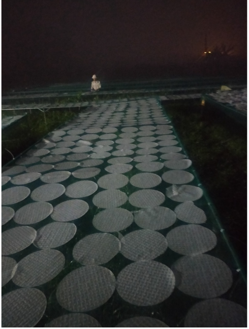 500G BÁNH TRÁNG PHƠI SƯƠNG
